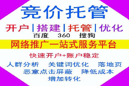 SEM托管公司案例：优化与增长
